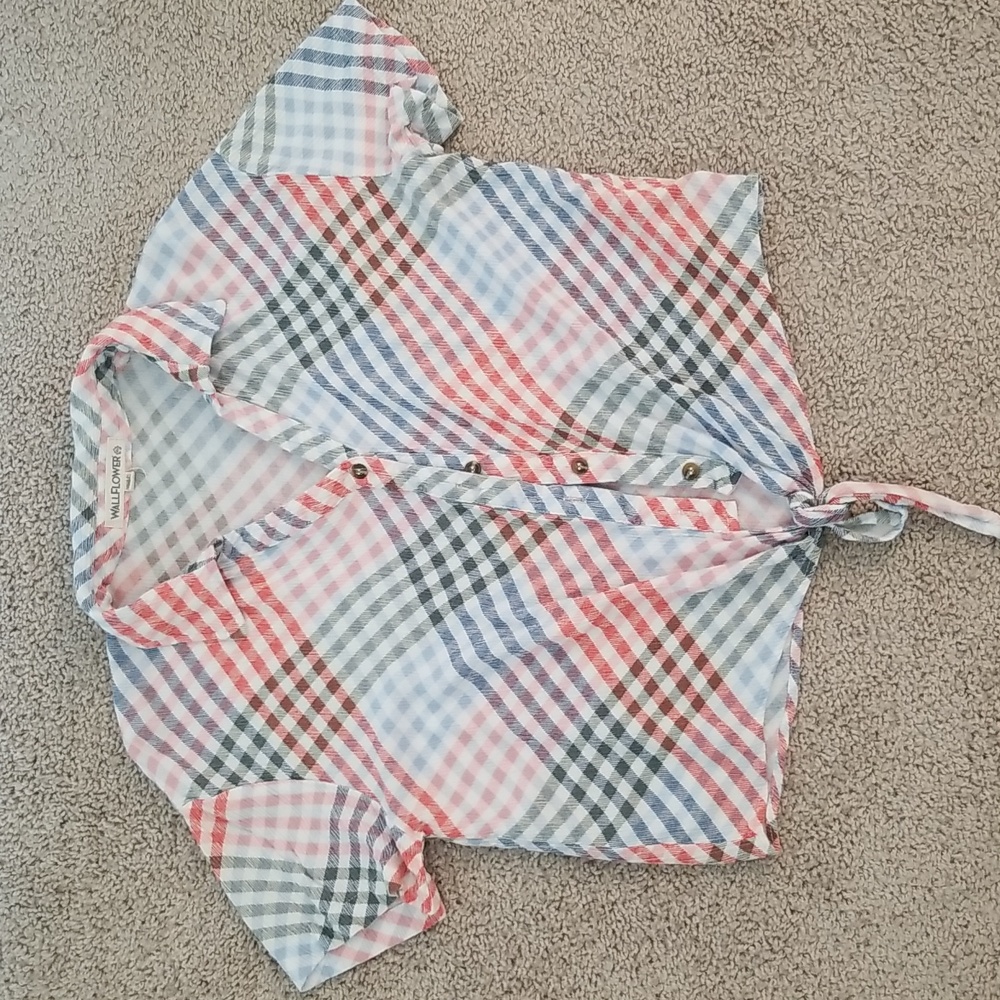 Wallflower Gingham Colorful Tie Front Button Down Large Crop Top